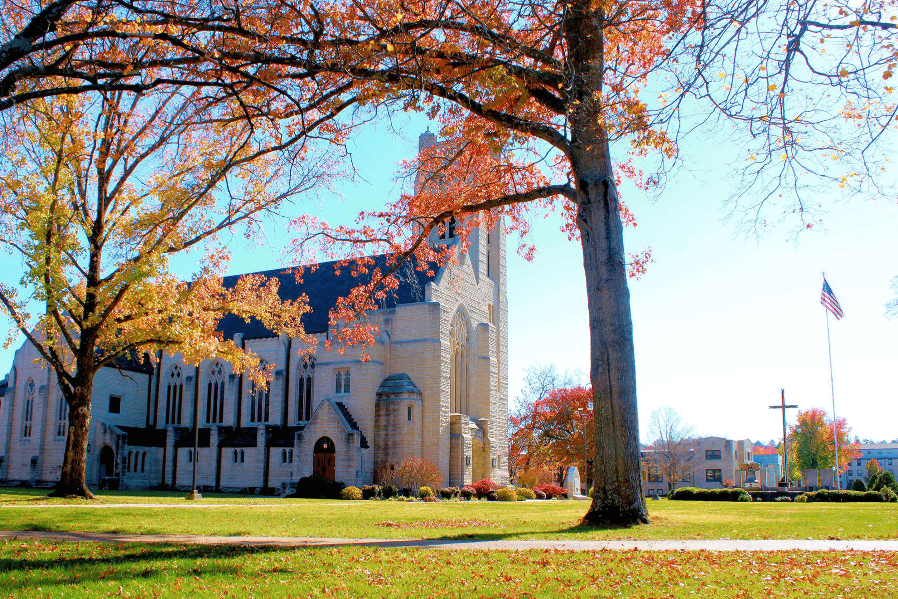 viptoursdiscoverbransontour6